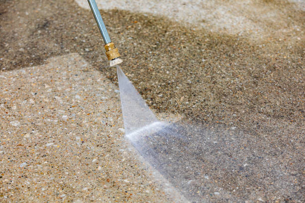 Best House Exterior Washing  in Sturgeon, MO